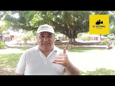 Misiones. Un baobab en Garupá.