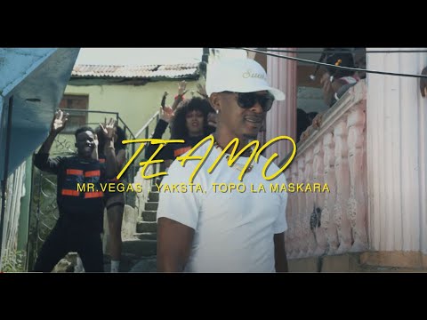 Video Te Amo (Remix) de Mr. Vegas 