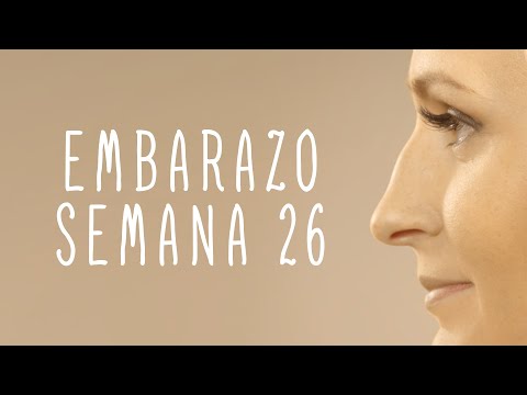 Calendario De Embarazo - Semana 26