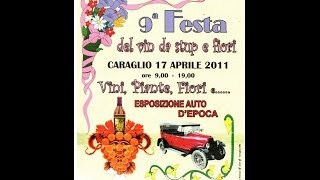 preview picture of video 'La Festa del Vin da Stup e dei Fiori Caraglio 2011'
