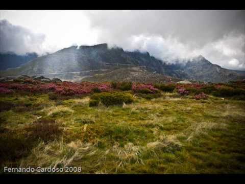 Portuguese Bagpipes/ Gaita Portuguesa - A saia da Carolina *Celtic Music*
