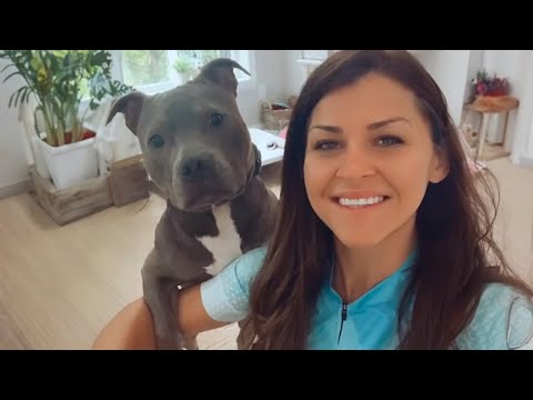 Des vidéos drôles de chiens et d'humains qui feront vibrer votre âme
