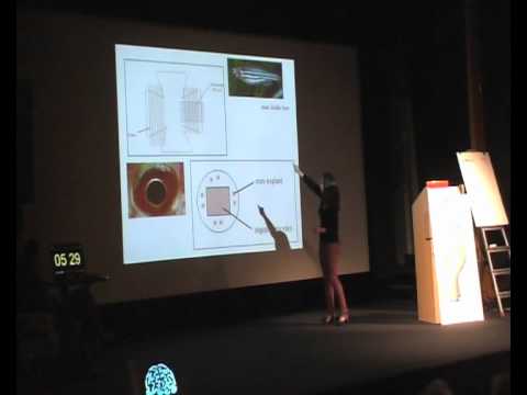 Vanessa Schneider: Der Effekt von Nogo-A auf die Axonregeneration beim ScienceSlam (18.11.2011)