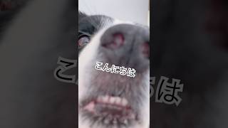 こんにちは