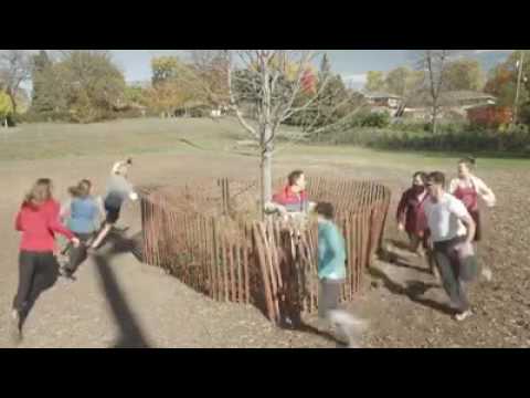 People acting like dogs at the dog park    😂