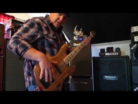 DNA Custom AI-BB / Funky Finger Style Bass Lesson - Andy Irvine