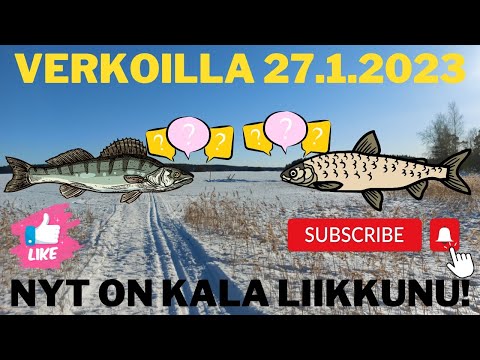 Verkoilla 34