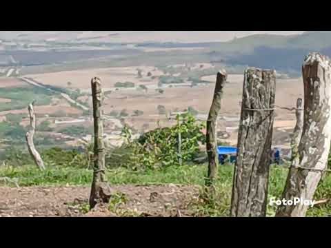 Pedro Alexandre Bahia, serra torre 
