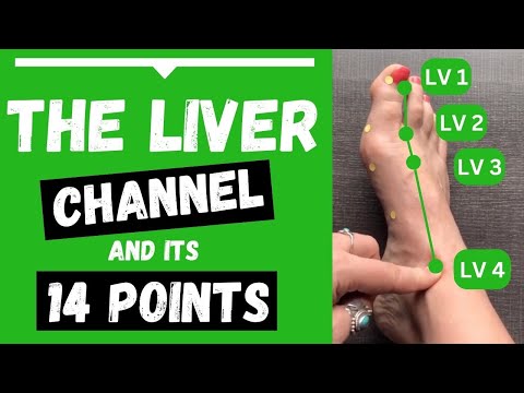 Liver Channel Meridian - 14 Liver Acupuncture Points (Functions & Locations)