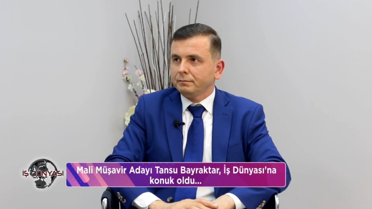 Mali Müşavirlik Mesleği