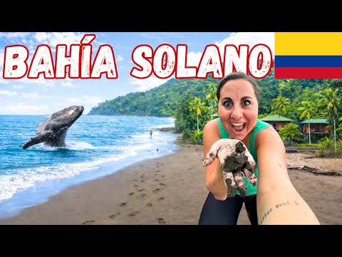 This is Bahia Solano, Choco 🇨🇴| Untouched Pacific Coast of Colombia