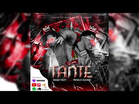 SNAKY BOY ( TANTE ) ❌ FENDJI SOUND ( Remix )