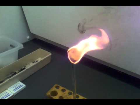 Combustion of Raw Biodiesel