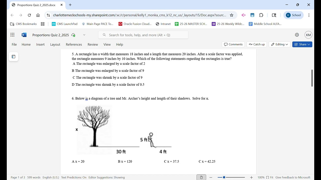 Proportions Quiz 2 2025 docx   Google Chrome 2025 09 18 14 13 57