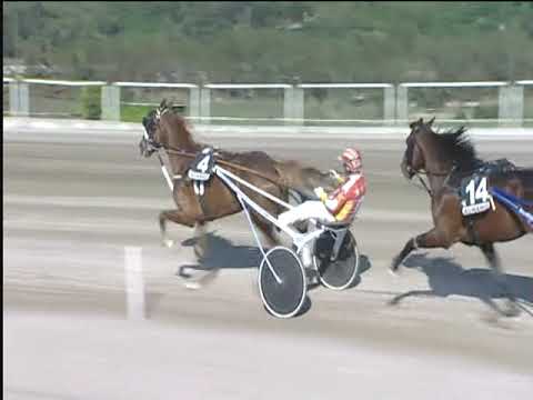 Trotto 19/04/2019 - 7ª corsa