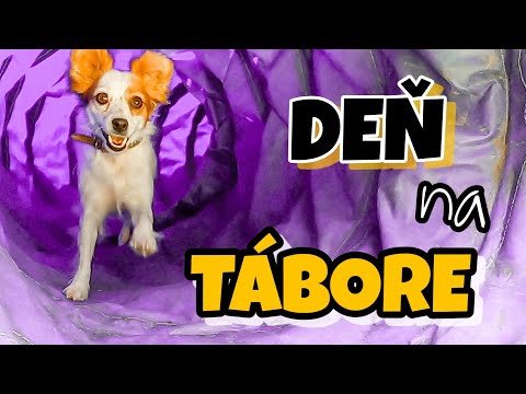 TÁBOR SO PSOM - VLOG z dennej rutiny