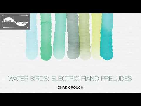 Water Birds: Electric Piano Preludes by Chad Crouch