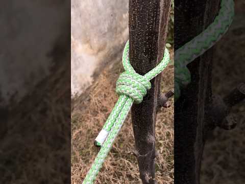How To Tie A Rope Around The Tree 🌲