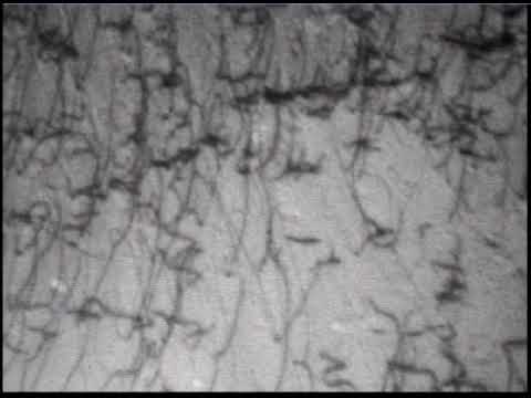 Dynamic strain aging in Fe-14Cr (part 2)