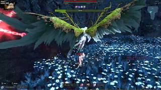 델리아 레지나 아인라허 노피격