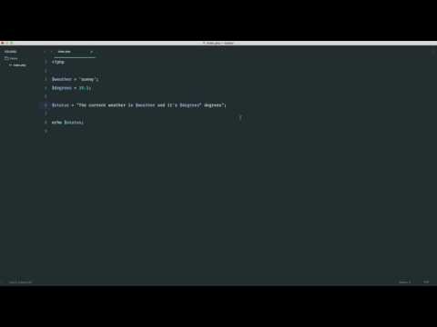 PHP Basics Data types Concatination 13 35