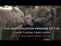 Domestication of the Canis lupus   Cynologist Bart de Gols