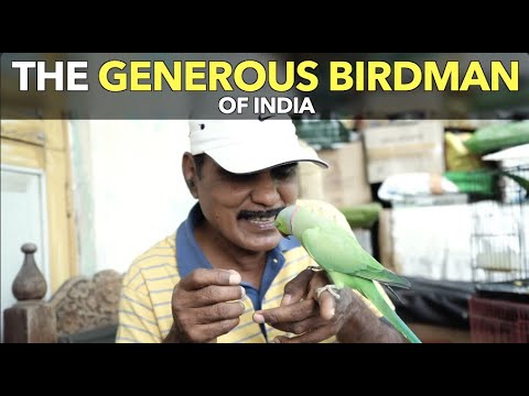 印度慷慨的鳥人 (The Generous Birdman of India)