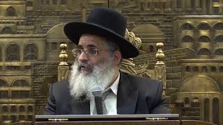 שידור חי מאשדוד | השיעור המרכזי עם מו"ר הרב ישראל אברג'ל שליט"א