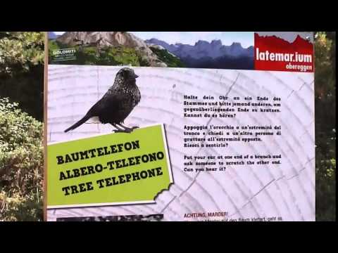 Dolomiti - Unesco World natural heritage - Tree Telephone