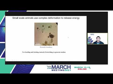 APS 2021-Programming impulsive deformation with mechanical metamaterials