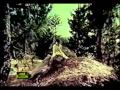 PYASI NIGAHON MEIN TERA INTIZAR AARZOO NOOR JAHAN HD YouTube