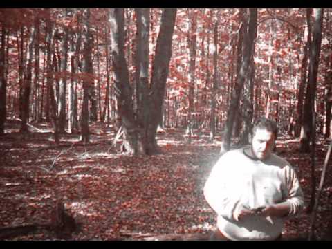 Vernacular - oath of silence - Dint Recordz