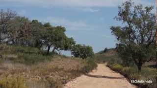 preview picture of video 'Algarve, Almares Compridos - Trilho / Trail'