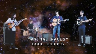 Cool Ghouls - Animal Races (Official Video)