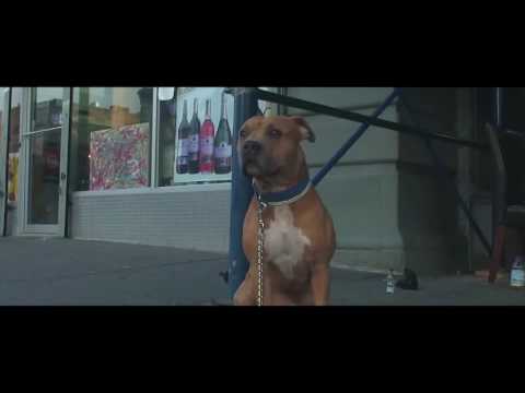 Zelly Swagg - What YAll Want (Offciail Video) DIrected By| E&E