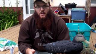 CTC's W&W Reports - J Anchor