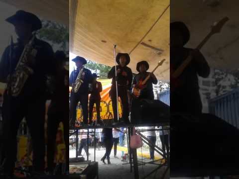 Super Grupo Bandido "EL GATO DE CHIHUAHUA"