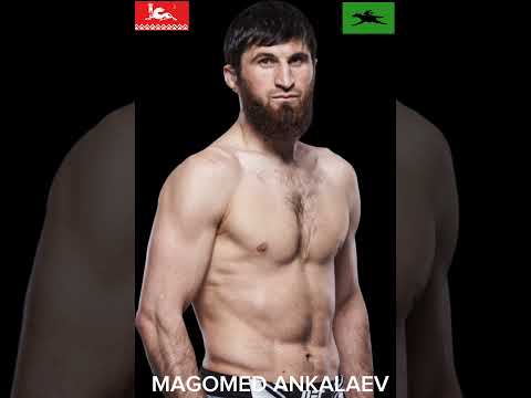 Avars at UFC | Аварцы в UFC | Avarlar UFC'de