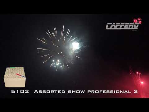 5102 Assorted show professional 3