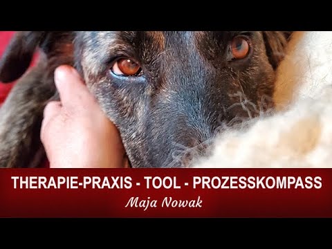 THERAPIE PRAXIS - Tool: Prozesskompass - von Maja Nowak