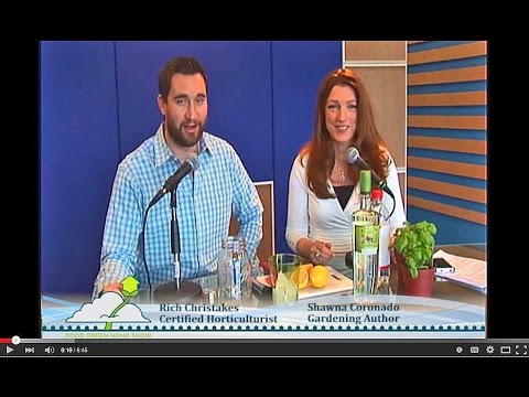 Bison Grass Vodka and Lemon Cocktail Recipe Ep. 9 Ft. 4