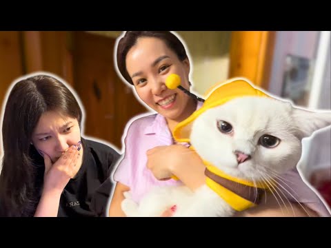 Шинэ жилдээ Бэлэн 🫡 