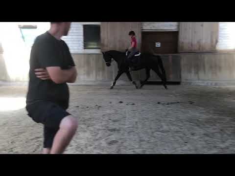 Faunus 07.2020 vor Abholung bei Nicole Hofmann Video 9 -  IMG 1314