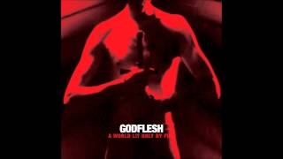 Godflesh - Carrion