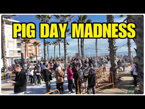 Pig Day Madness in Torrevieja Pig Day Party on the Costa Blanca !