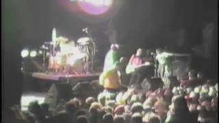 Agent Orange - Live At John Anson Ford Amphitheatre, LA, 1988