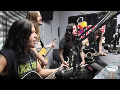 A Spider In The Dark - Bobaflex
