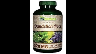 TNVitamins Dandelion Root 520 Mg 100 Capsules