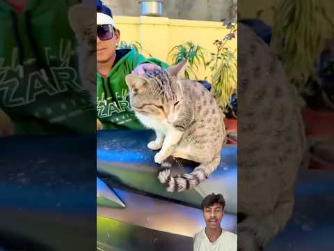 Baby Gangster 😅 !! #shorts #short #reaction #trending