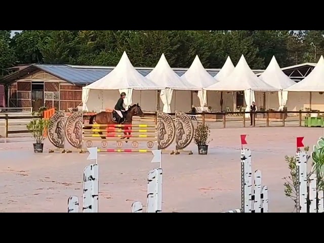 L&eacute;gacie du Sorre - Jument - SF 